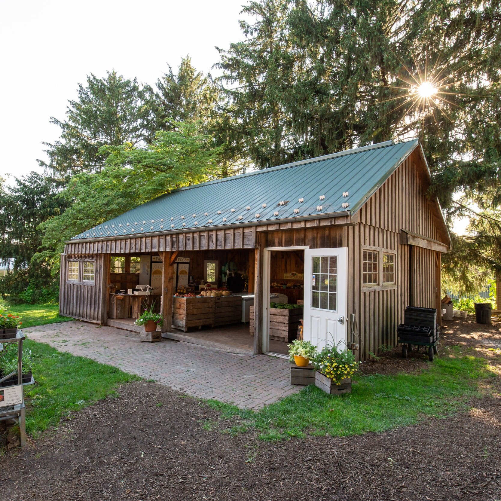 Rustic farm stand with a wooden exterior and a green metal roof, surrounded by trees and greenery, showcasing fresh produce and flowers. Sunlight filters through the trees, enhancing the inviting atmosphere.