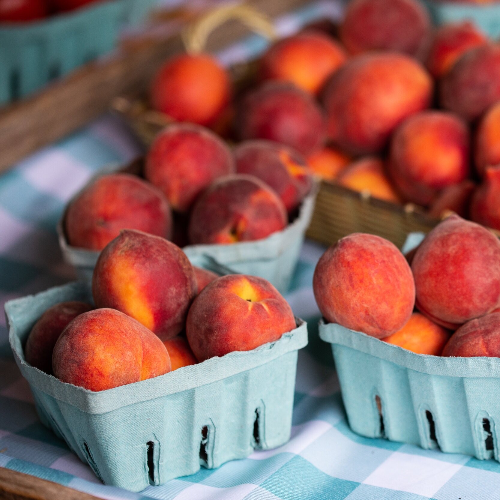 Fresh peaches in blue cardboard baskets at a farmers market, with a checkered tablecloth in the background.