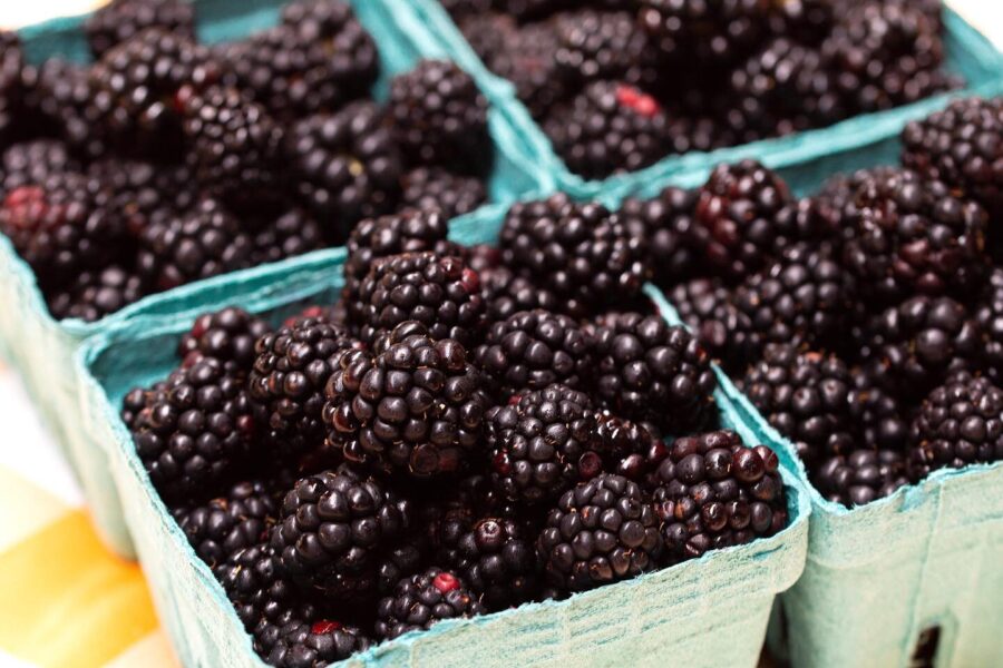 Fresh blackberries in blue cardboard containers, showcasing their rich color and plump texture, ideal for healthy snacking and baking.