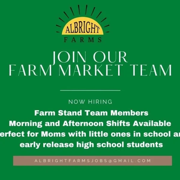 Albright Farms job advertisement for farm market team members, highlighting available morning and afternoon shifts suitable for moms with school-aged children and early release high school students. Contact information included.