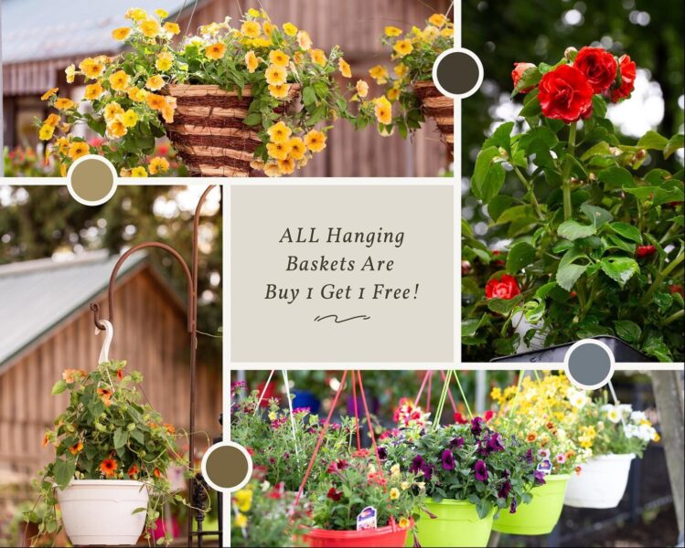 Colorful hanging flower baskets featuring vibrant blooms like yellow petunias and red begonias, promoting a 